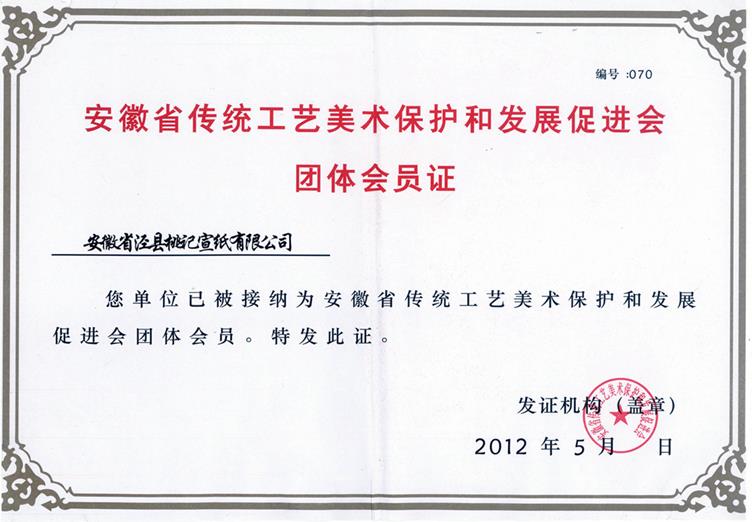 安徽省傳統(tǒng)工藝美術保護和發(fā)展促進會團體會員證